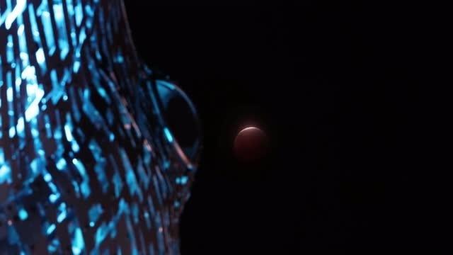 Did you miss the Super Blood Wolf Moon?