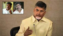 చంద్రబాబుకే రాజకీయం నేర్పుతున్న  బెజవాడా తమ్ముళ్లు || Oneindia Telugu