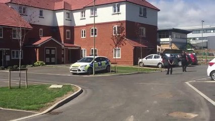 murder scene footage