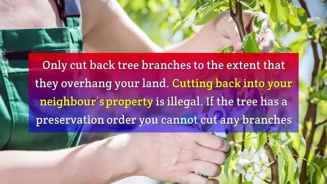 ANTI-SOCIAL BEHAVIOUR: Are You a 'Nuisance Neighbour'? Ways You Could Be Breaking the Law Without Even Knowing it