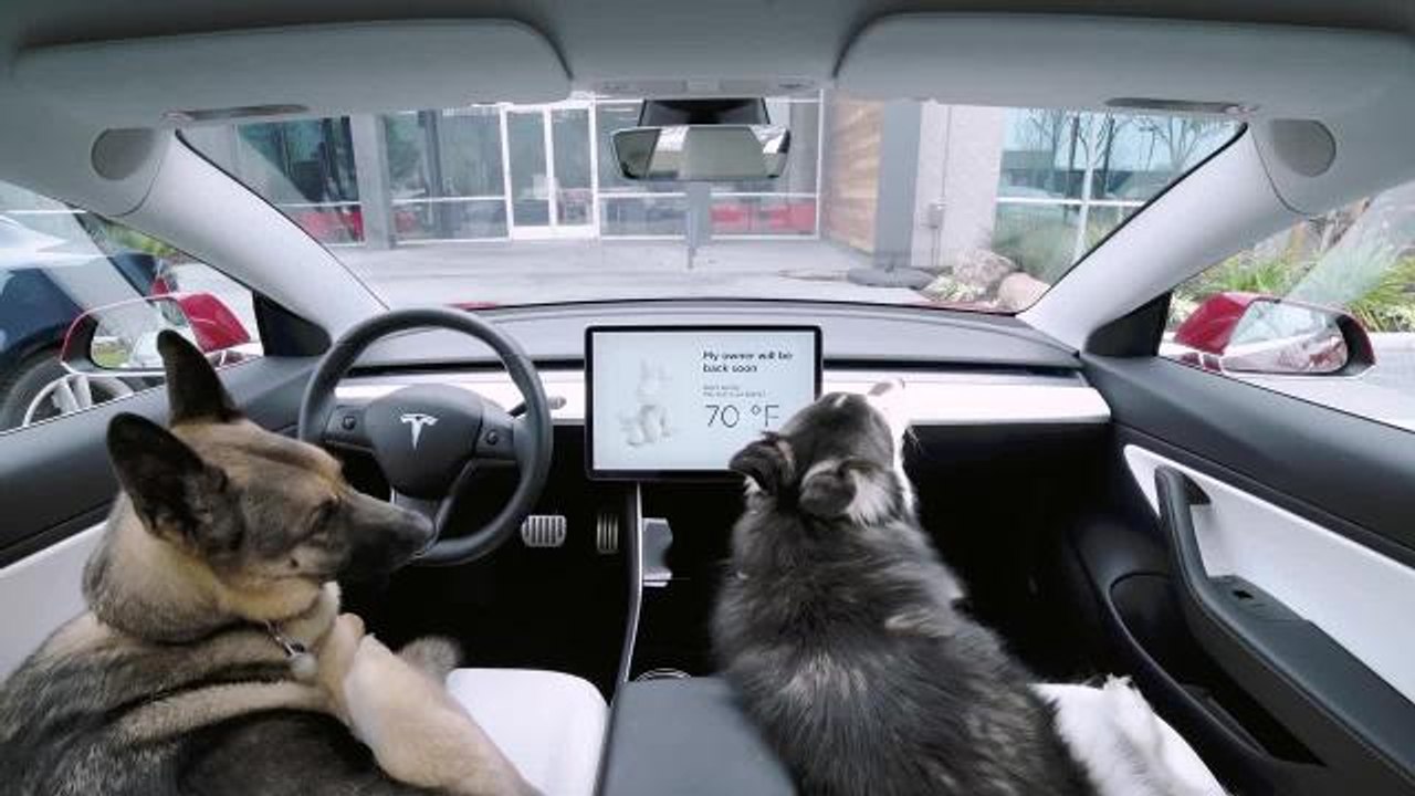 Tesla
