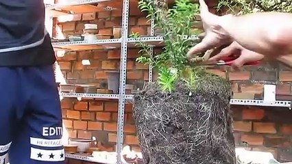 제주도출장안마 -후불100%ョØ1ØS2671S8135｛카톡AQ52｝ 제주도전지역출장안마 제주도오피걸 제주도출장마사지 제주도안마 제주도출장마사지 제주도콜걸샵≠±×