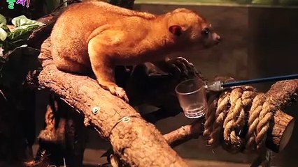 부안출장안마 -후불100%ョØ7ØA7575A0062｛카톡DDR88｝ 부안전지역출장안마 부안오피걸 부안출장마사지 부안안마 부안출장마사지 부안콜걸샵√◎≪