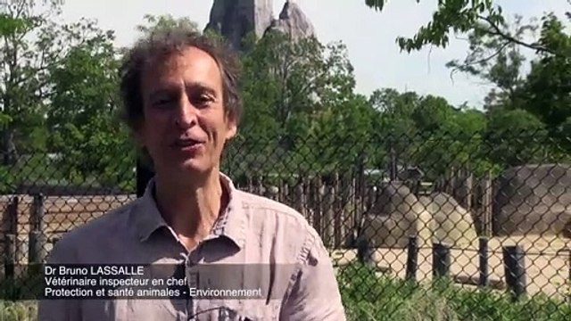 Inspection vétérinaire au Parc zoologique de Paris