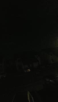 Loud late-night roars heard in Fife