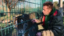 Chris Packham talks about importance of rescuing lions