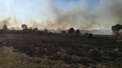 sussex express fire