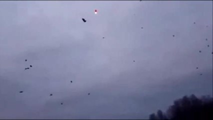 Connor Brown Sunderland balloon release tribute