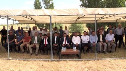 Niğde'de "Yerel Buğday Tarla Günü" etkinliği