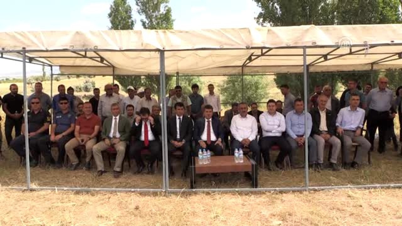 Niğde'de "Yerel Buğday Tarla Günü" etkinliği