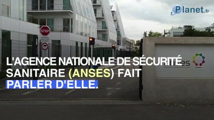Une étude importante sur la pollution de l'air publiée