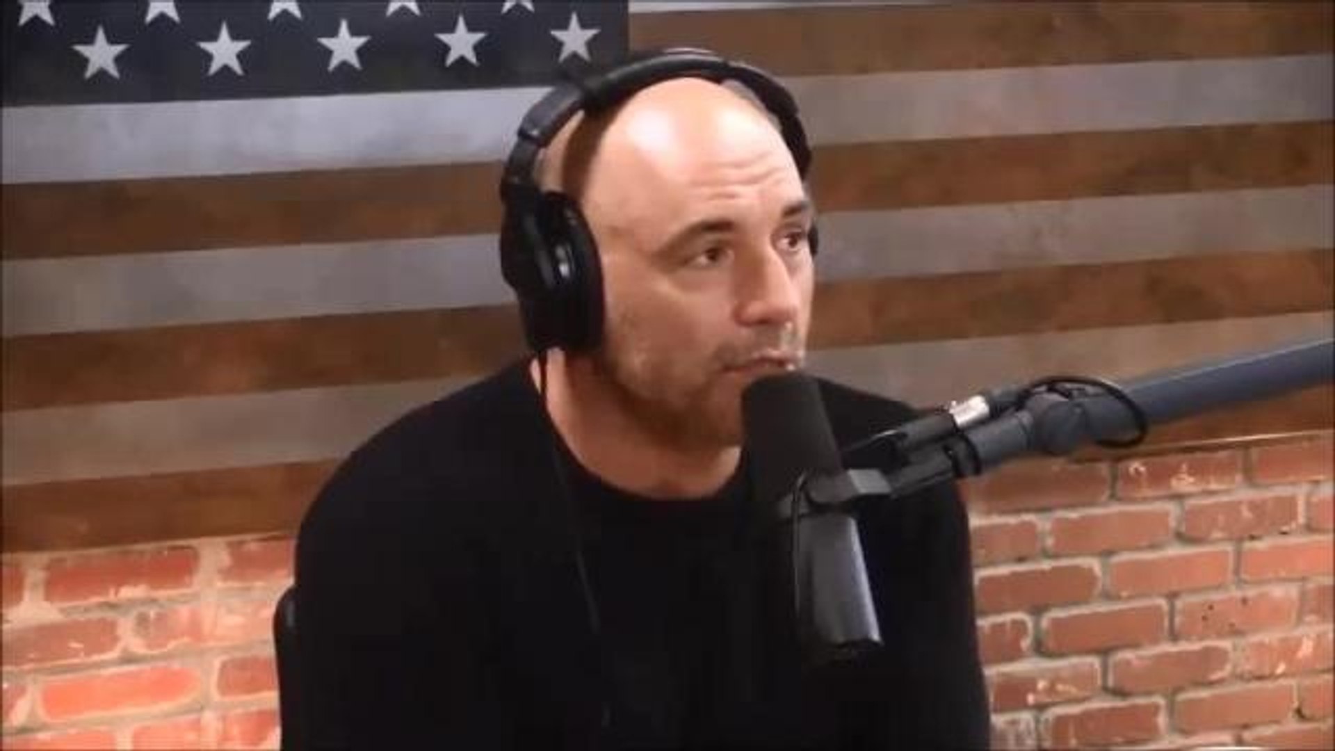 The Joe Rogan Experience