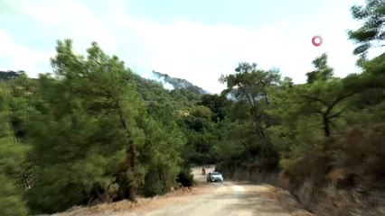 Bodrum'da orman yangını; havadan ve karadan müdahale ediliyor