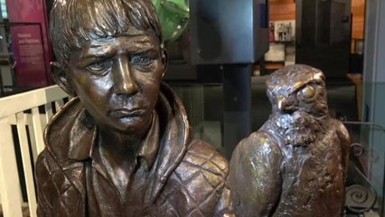 Kes statue is new tourist attraction at Experience Barnsley
