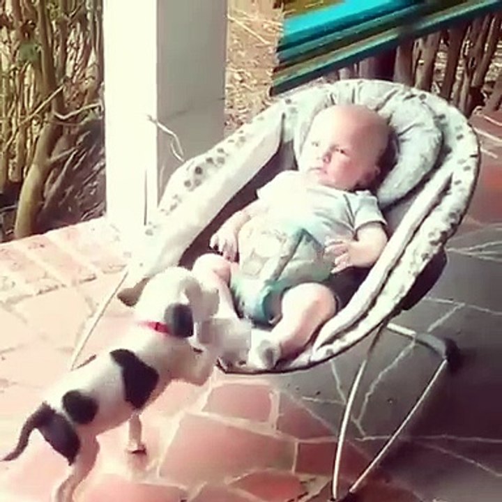Ce bébé adore quand son chien monte sur son berceau. Trop chou !