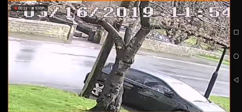 CCTV footage shared by Sean Lambert shows the tree crashing down outside Wadsley Church Hall on Worrall Road