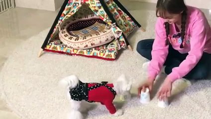 진안출장안마 -후불100%ョØ7ØA7575A0069｛카톡RD654｝ 진안전지역출장안마 진안오피걸 진안출장마사지 진안안마 진안출장마사지 진안콜걸샵∠⊥≤