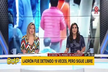 Los Olivos: ladrón que fue detenido 19 veces continúa en libertad