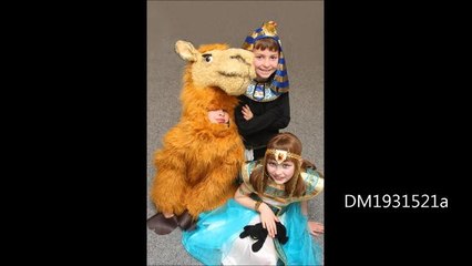 Ancient Egyptians Southwick