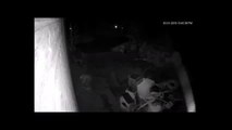 Officers release footage in a bid to trace Gateshead arsonists