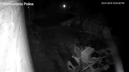 Arsonist Sets Himself on Fire