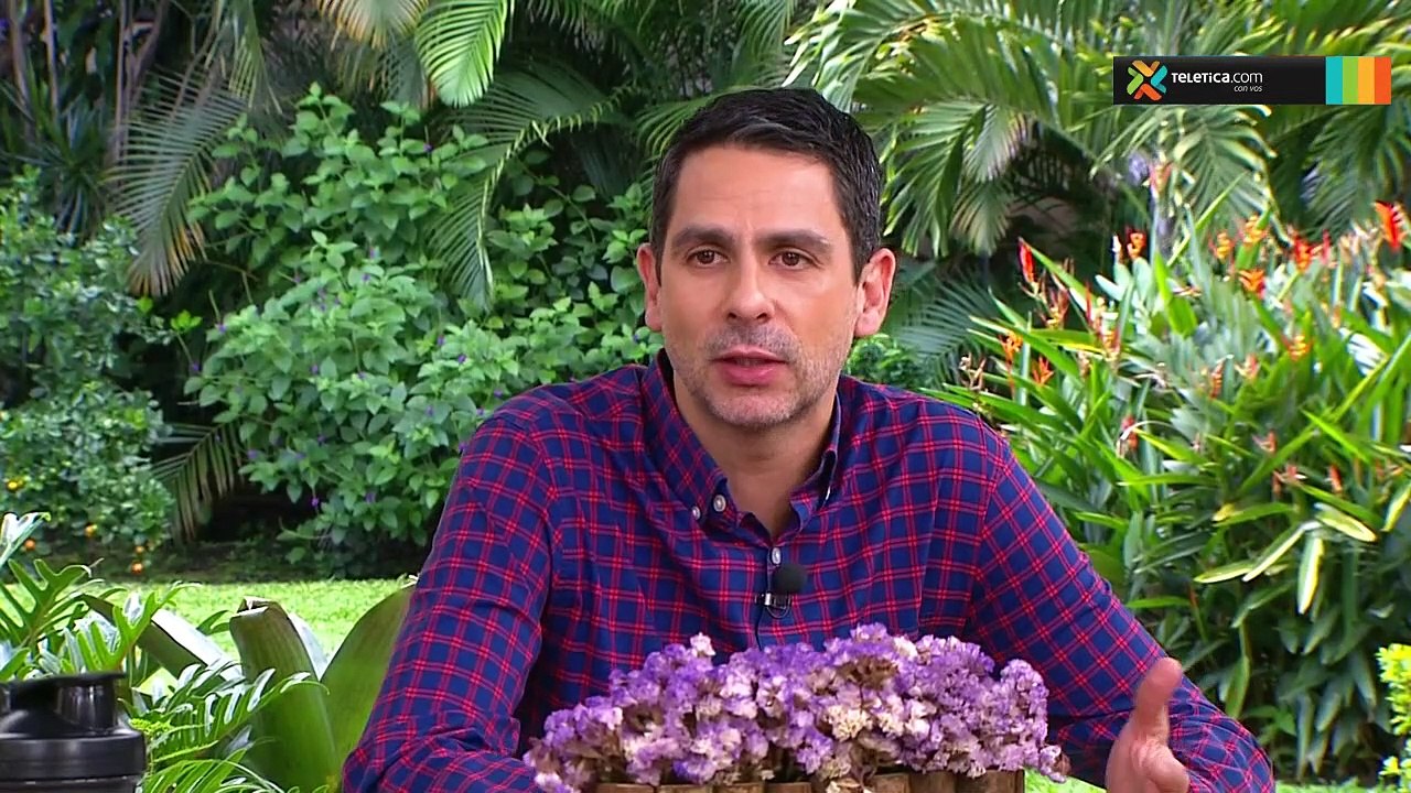 bd-afectacion-parasitos-intestinales-160719