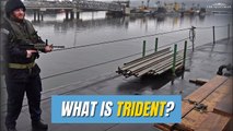 Trident Explainer