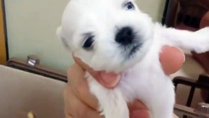 밀양출장아로마≑밀양출장안마 -후불100%ョØ1ØE6814E3375｛카톡NS95｝ 밀양전지역출장안마 밀양오피걸 밀양출장마사지 밀양안마 밀양출장마사지 밀양콜걸샵ЪЫЬ