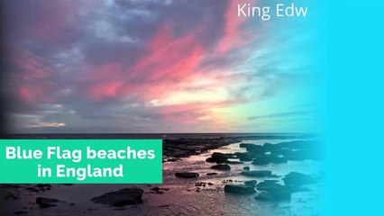 What is a blue beach flag?