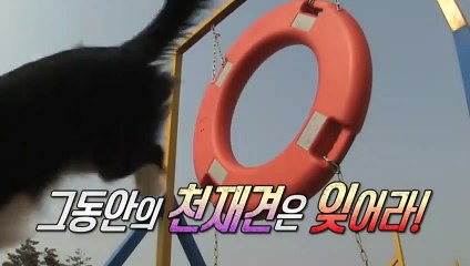 부산출장안마 -후불100%ョØ7ØS7301S9649｛카톡LA25｝ 부산전지역출장안마 부산오피걸 부산출장마사지 부산안마 부산출장마사지 부산콜걸샵абв