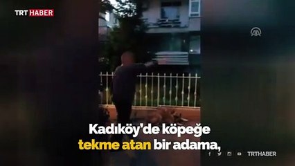 Köpeğe tekme atan kişiye para cezası