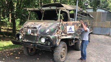 Safari à la ferme des cerfs