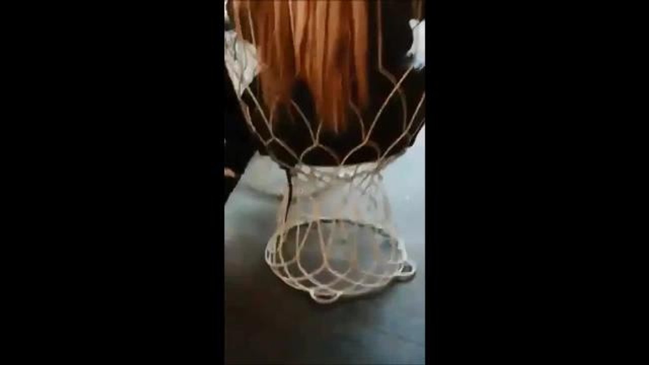 Ramore Rat Video