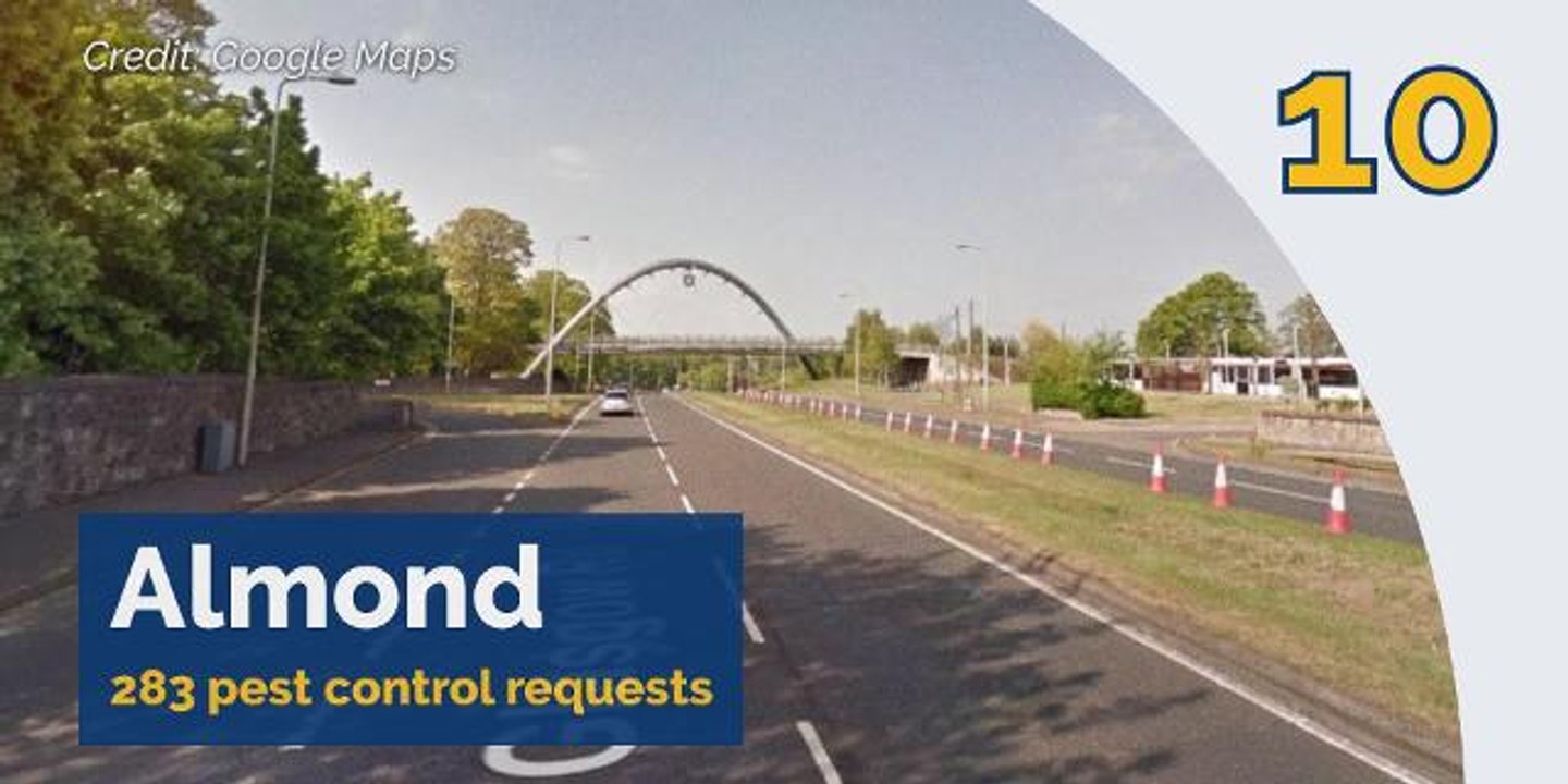 Edinburgh’s Rat Infestation - The City’s 17 Council Areas Ranked in Order of Pest Control Callouts