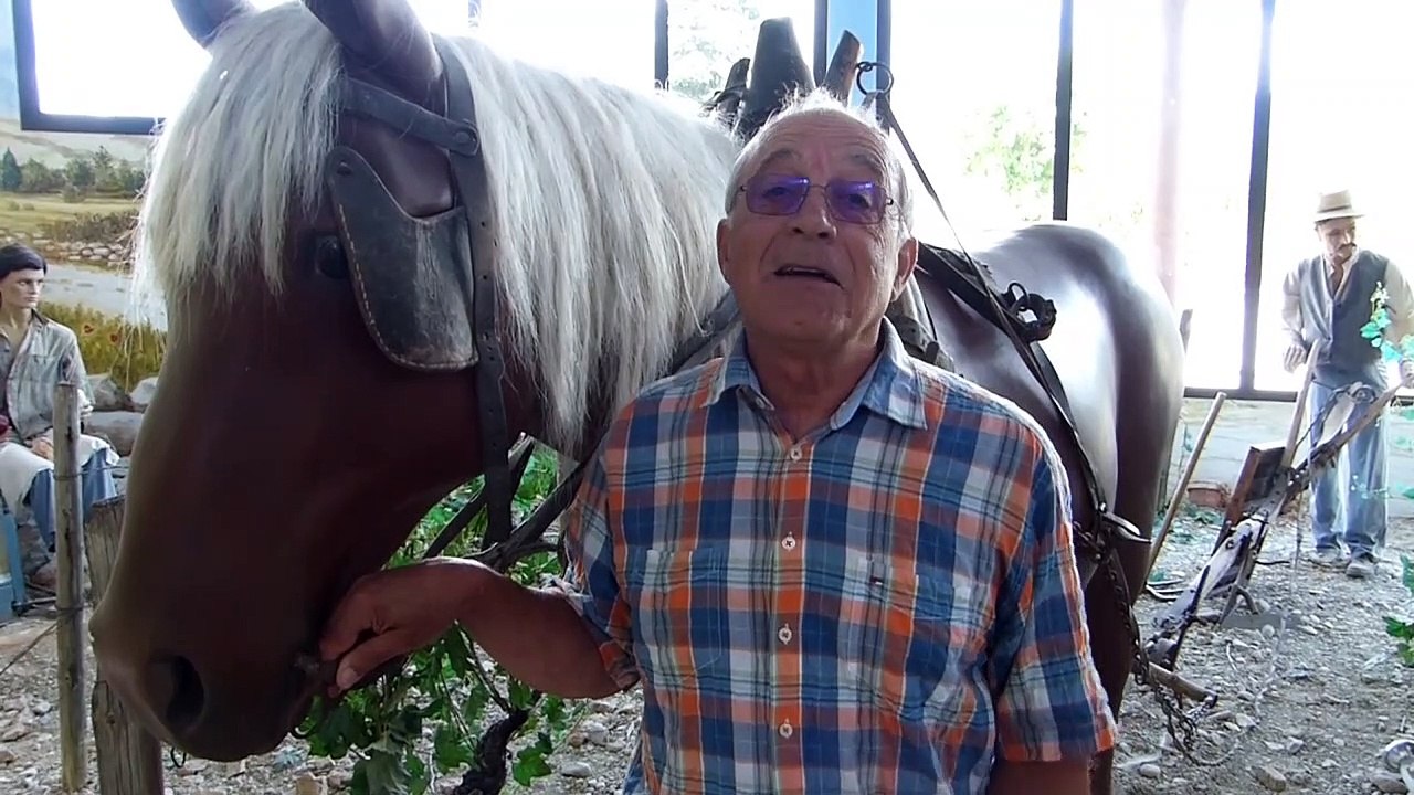 De la grappe au verre, le musée de la Clairette ne vous lâche pas