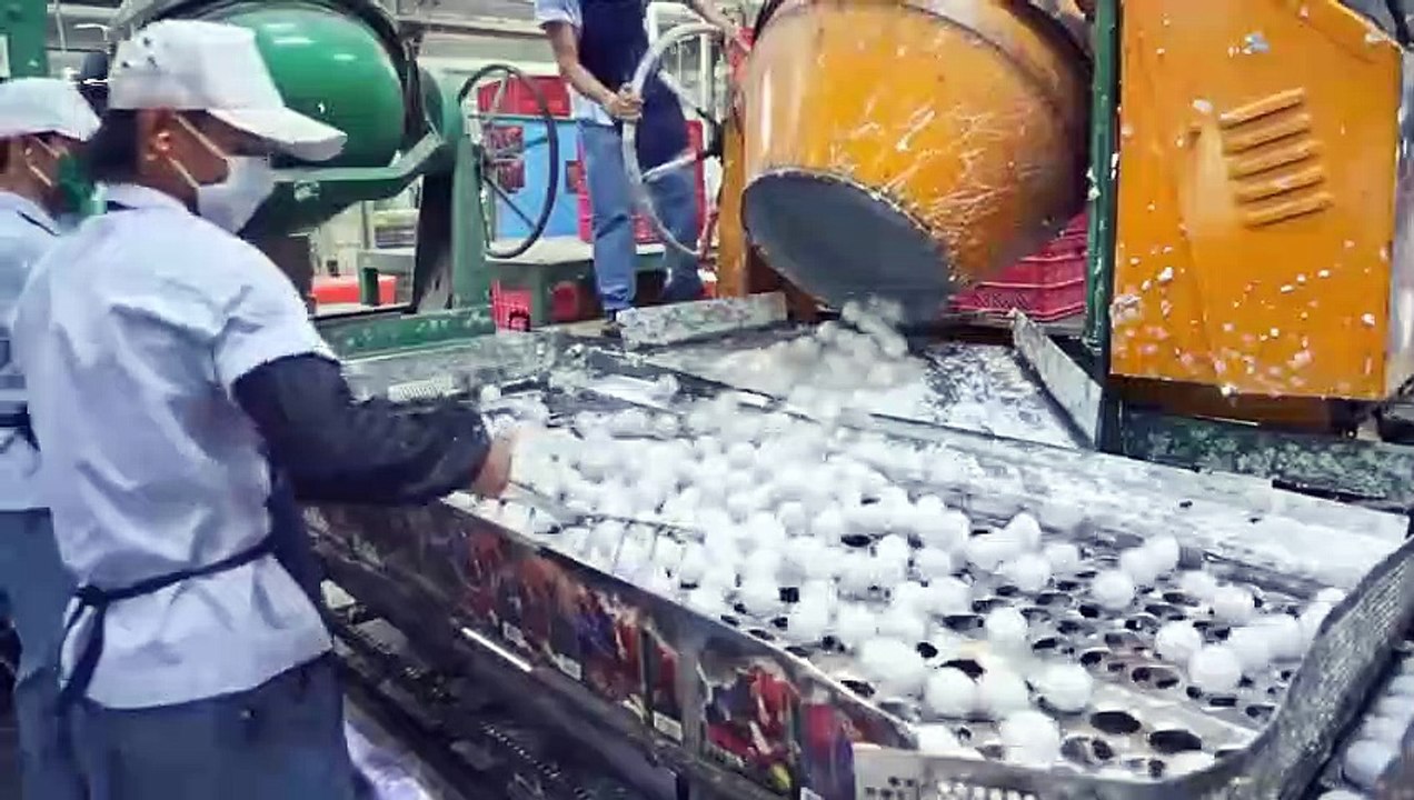 Processing  Ball Rack Tenis