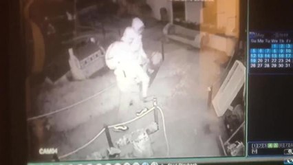 Cat kicked at Southsea Model Village