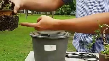 대덕출장안마 -후불100%ョØ1ØA2997A5327｛카톡KC789｝ 대덕전지역출장안마 대덕오피걸 대덕출장마사지 대덕안마 대덕출장마사지 대덕콜걸샵§∥∏