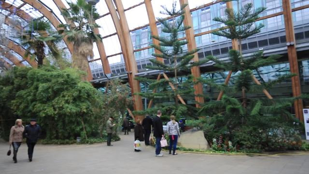 'She had blood streaming from her face:' Woman who came to rescue of girl injured in Winter Garden tree fall blasts council