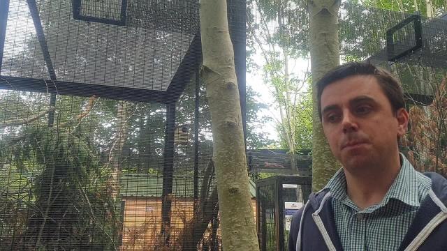 St Francis Primary School