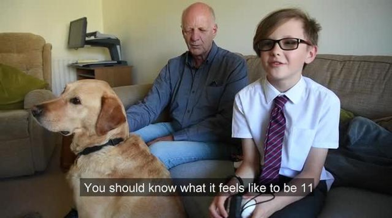 Guide dog Beesting