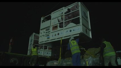 Rhino arrives in Africa