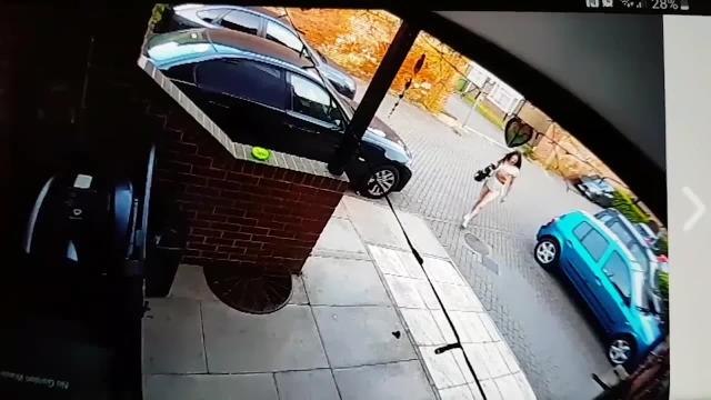 CCTV captured the shocking moment a neighbour threw their kitten NINE ft in the air