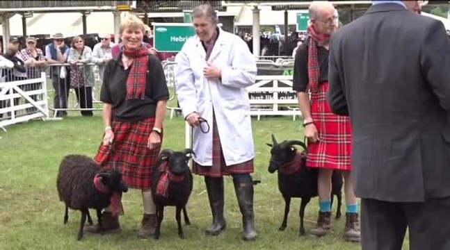 Day two at the Great Yorkshire Show