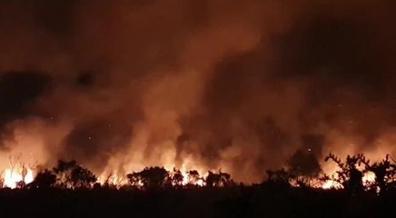 Browndown fire in Gosport