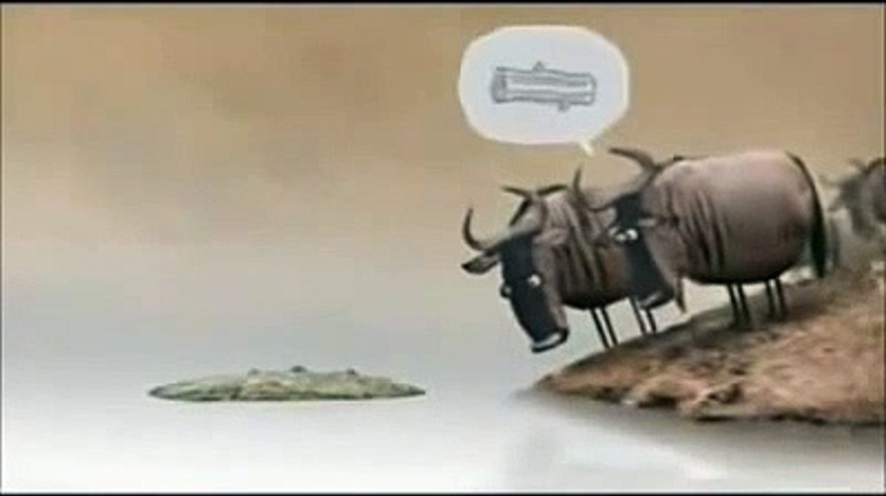 Discutere con un idiota