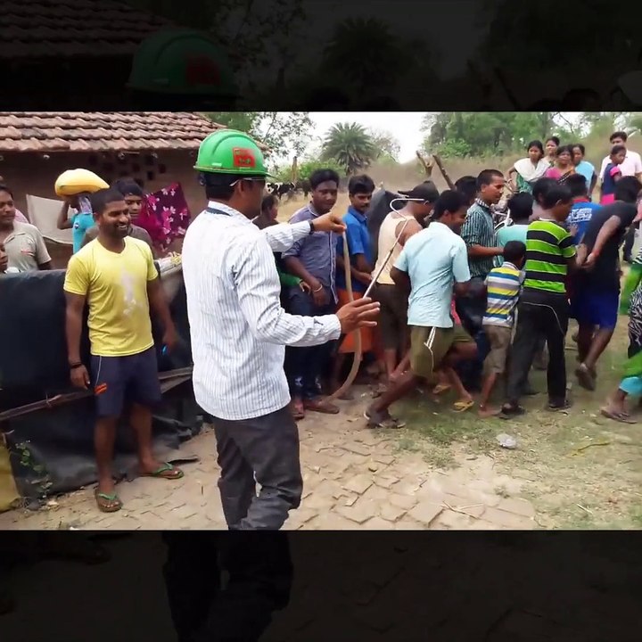 Snake rescue team Panchet dam