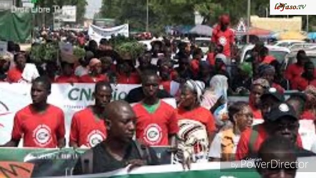 Lâcher de moustiques génétiquement modifiés à Bana Une opération saluée par la population