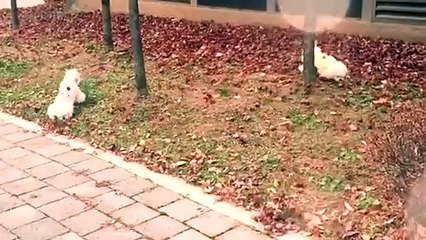 마산출장안마 -후불100%ョØ1ØE6814E3375｛카톡VR19｝ 마산전지역출장안마 마산오피걸 마산출장마사지 마산안마 마산출장마사지 마산콜걸샵ИЙК