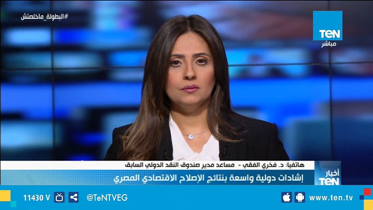 مساعد مدير صندوق النقد الدولي السابق: "30 يونيو...